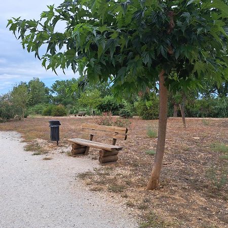 Studio Proche De Perpignan Peyrestortes Екстериор снимка