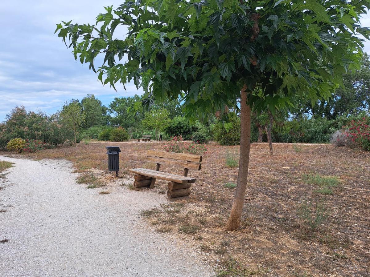 Studio Proche De Perpignan Peyrestortes Екстериор снимка